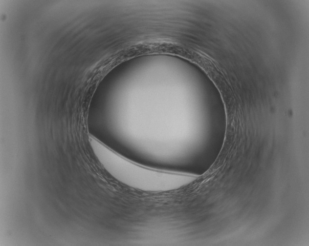 X0000076091014200609220958