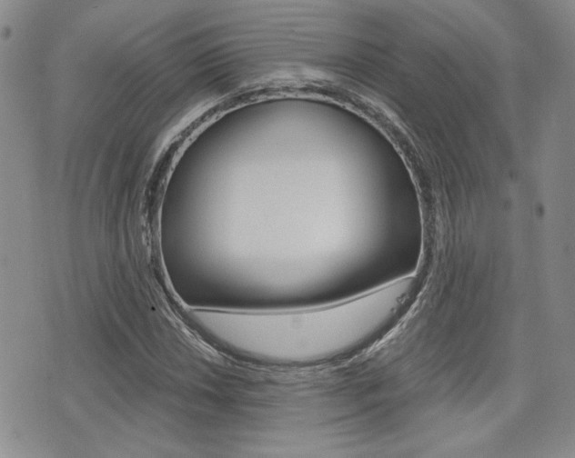 X0000076091018200609220958