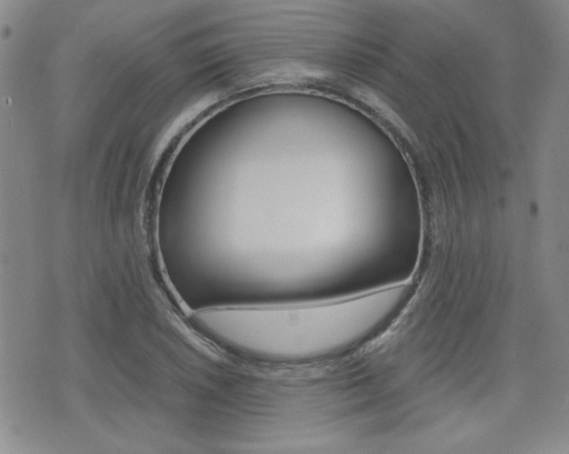 X0000076091026200609220958