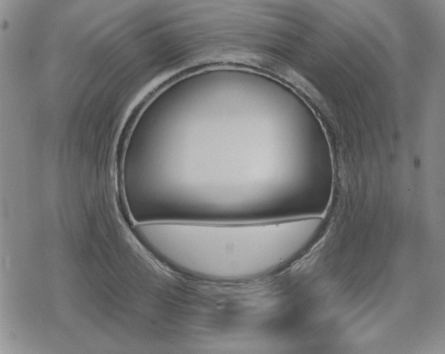 X0000076091028200609220958
