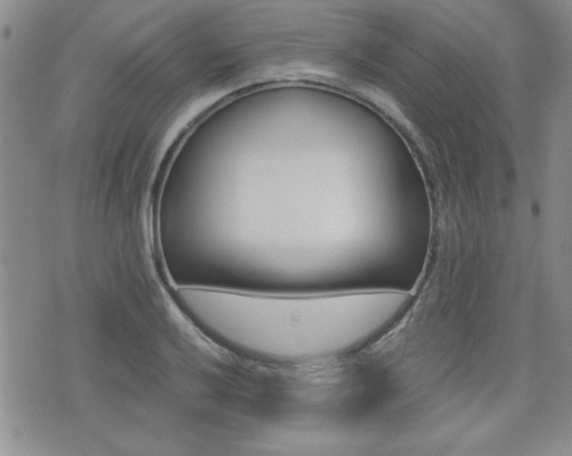X0000076091032200609220958