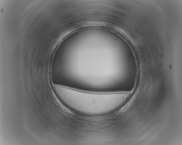X0000076091033200609220958