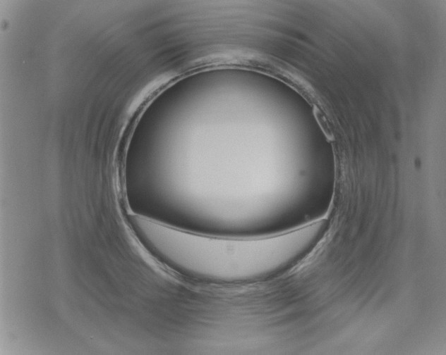 X0000076091034200609220958