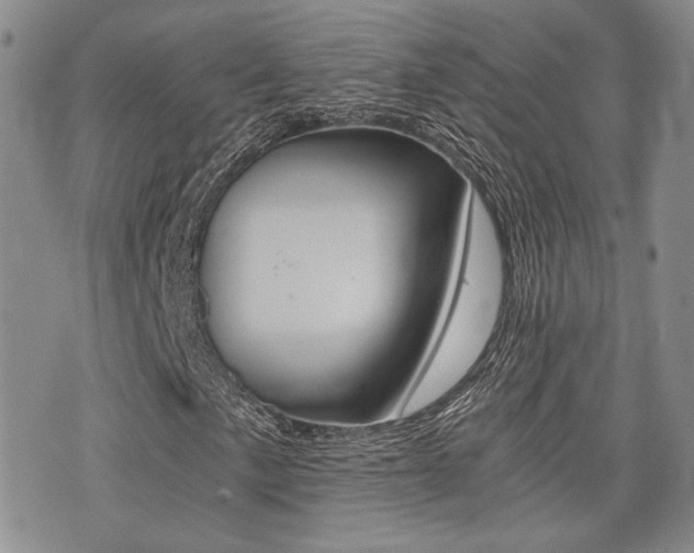 X0000076091057200609220958