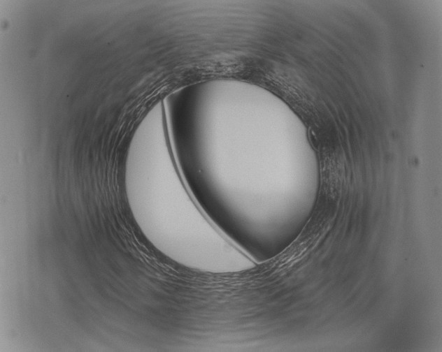 X0000076091058200609220958
