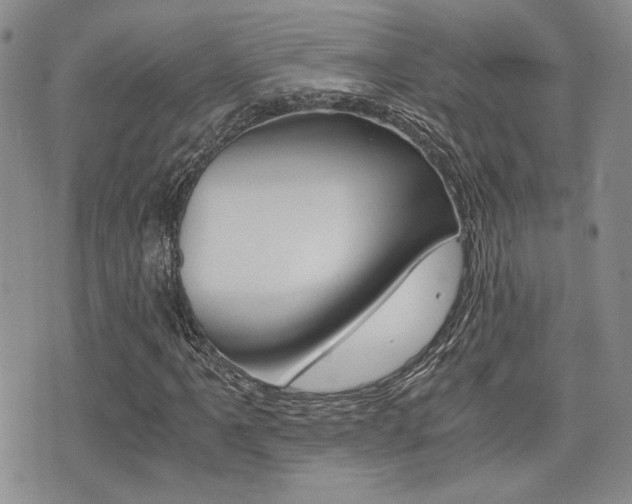 X0000076091061200609220958