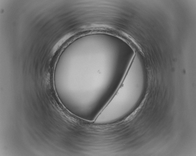X0000076091066200609220957