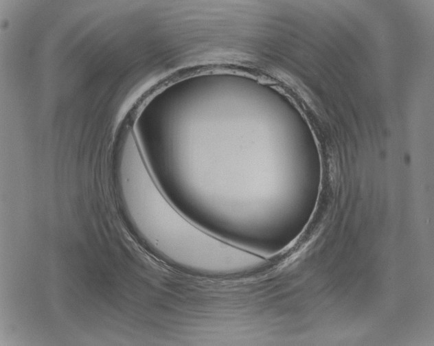 X0000076091069200609220957