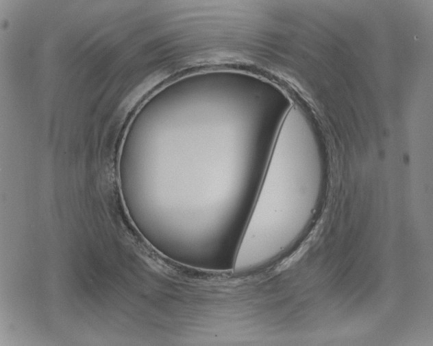 X0000076091073200609220957