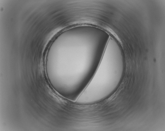 X0000076091076200609220957