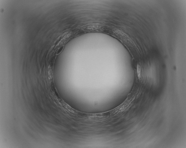 X0000076091107200609220956