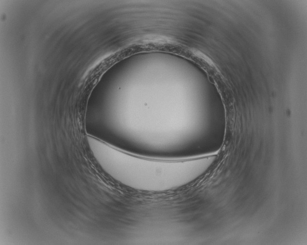 X0000076091112200609220956