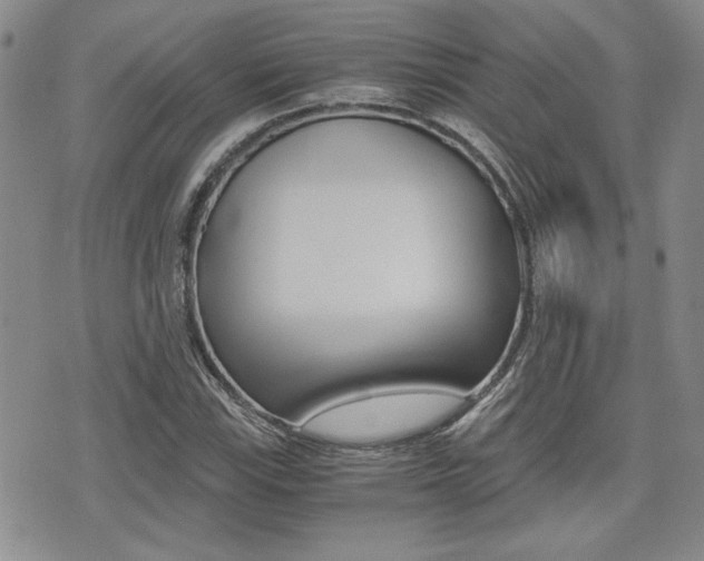 X0000076091115200609220956