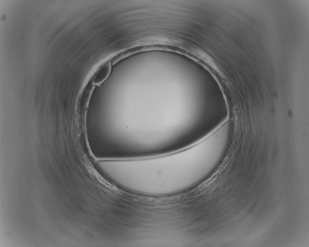 X0000076091116200609220956
