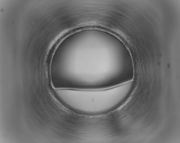 X0000076091118200609220956