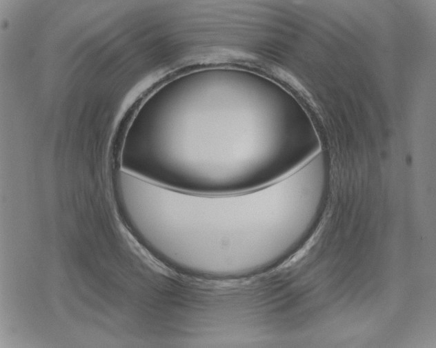 X0000076091122200609220956
