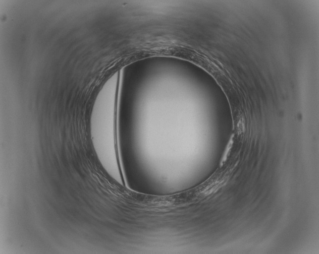 X0000076091156200609220956