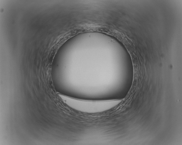 X0000076091157200609220956
