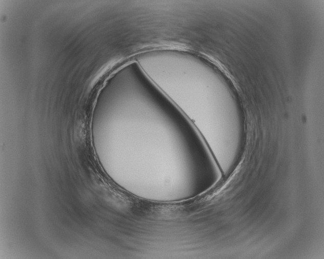 X0000076091163200609220956