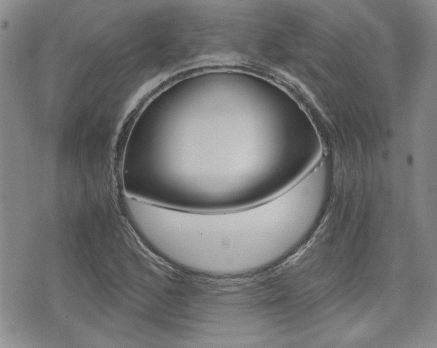 X0000076091168200609220956