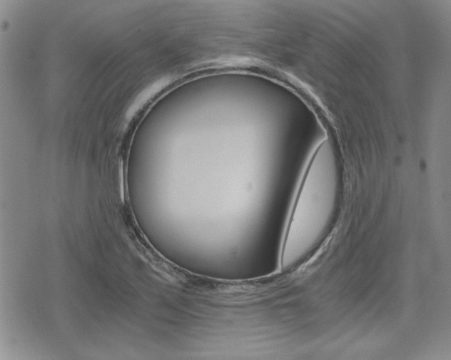 X0000076091171200609220956