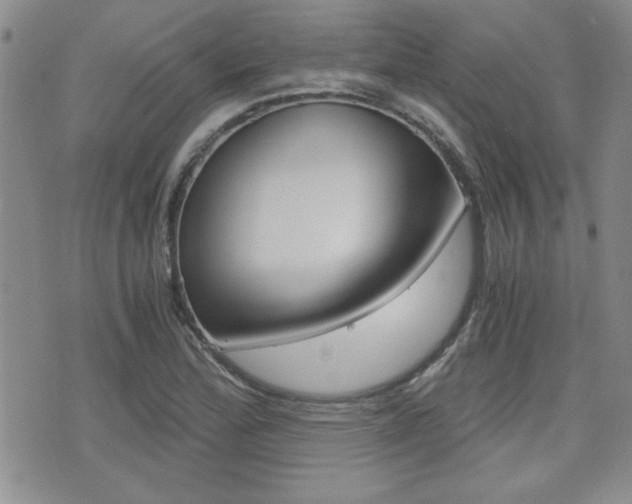 X0000076091172200609220956