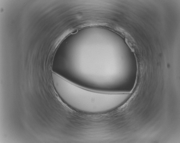 X0000076091185200609220955