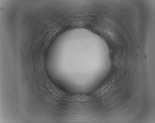 X0000076091201200609220954