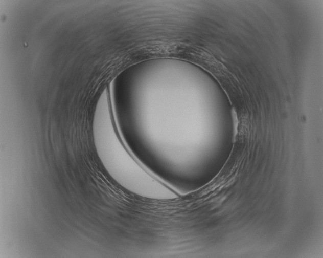 X0000076091202200609220954
