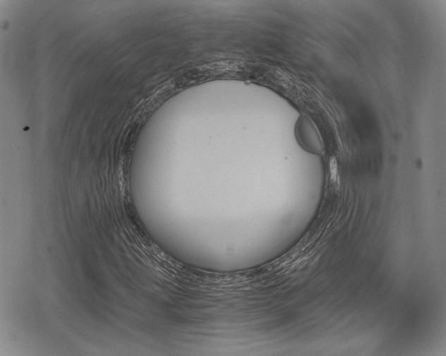 X0000076091203200609220955