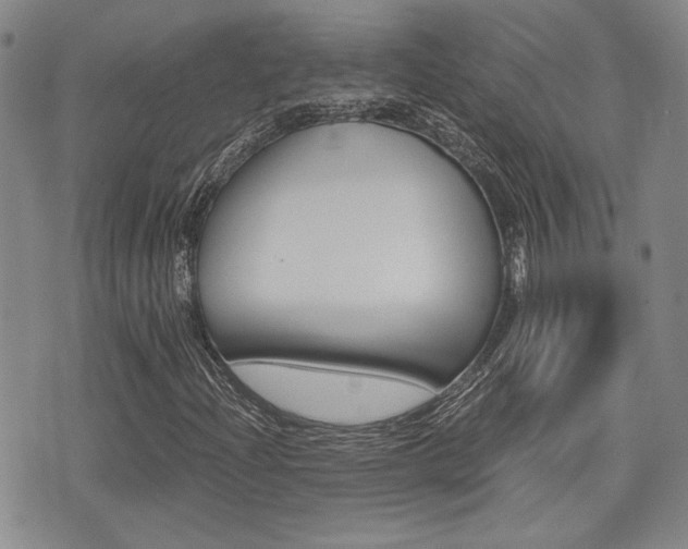 X0000076091204200609220955