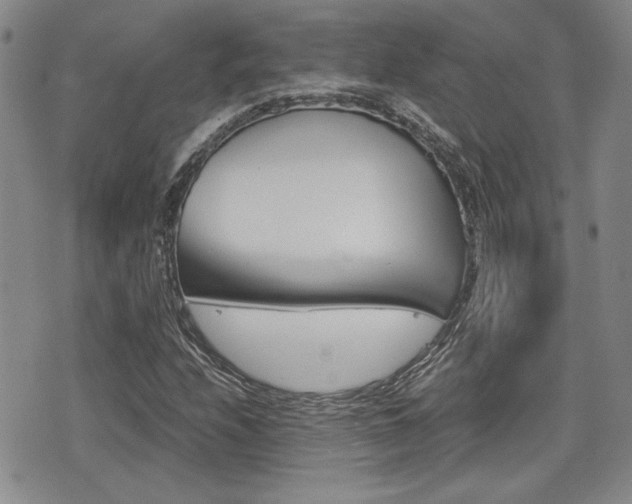 X0000076091208200609220955