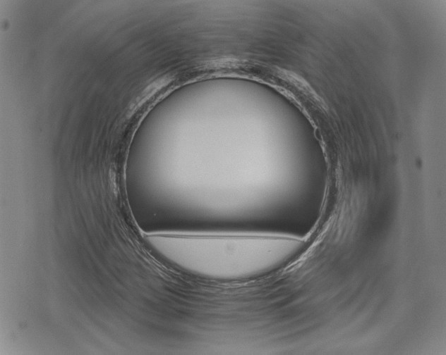 X0000076091209200609220955