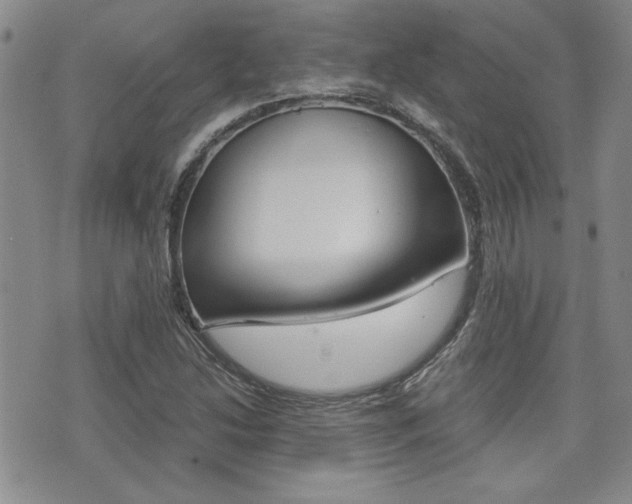 X0000076091214200609220955