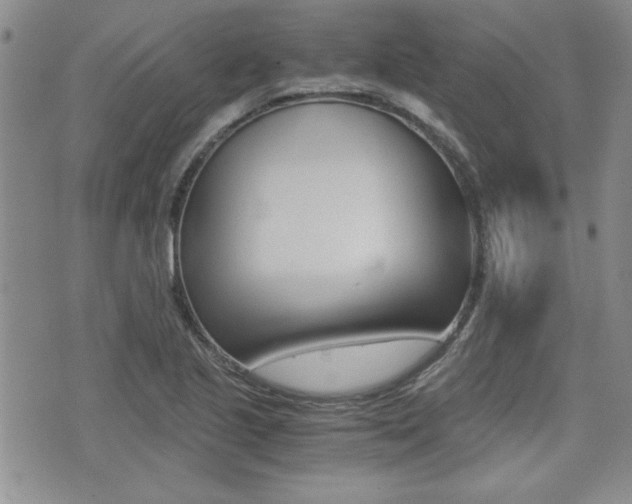 X0000076091221200609220955
