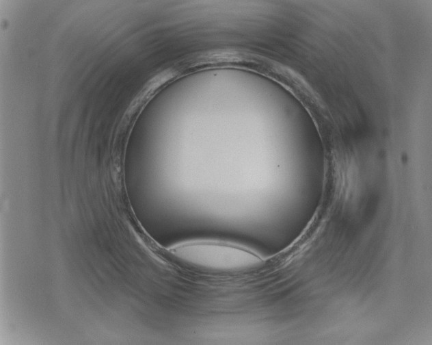 X0000076091225200609220955
