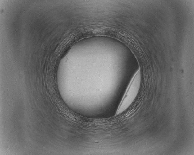X0000076091249200609220954
