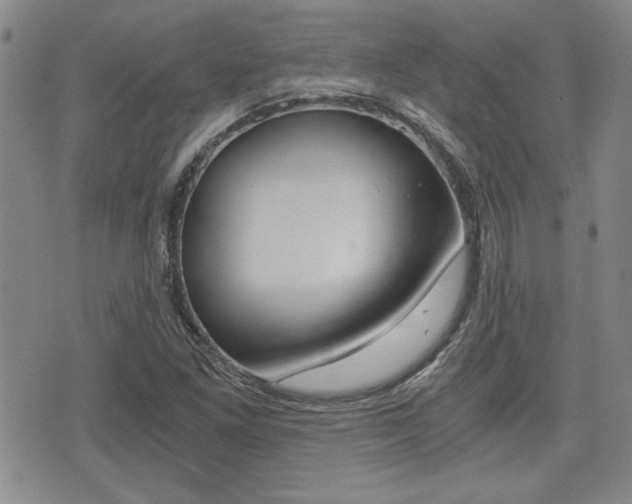 X0000076091261200609220954
