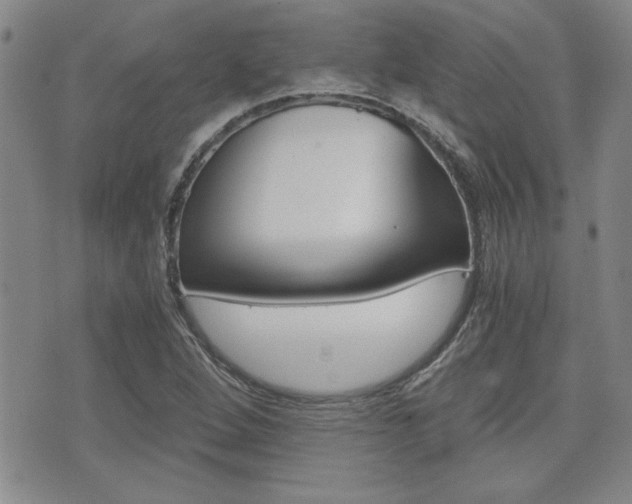 X0000076091264200609220954