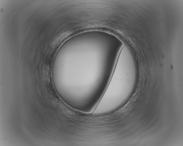 X0000076091265200609220954