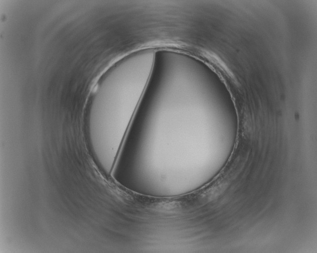 X0000076091268200609220954