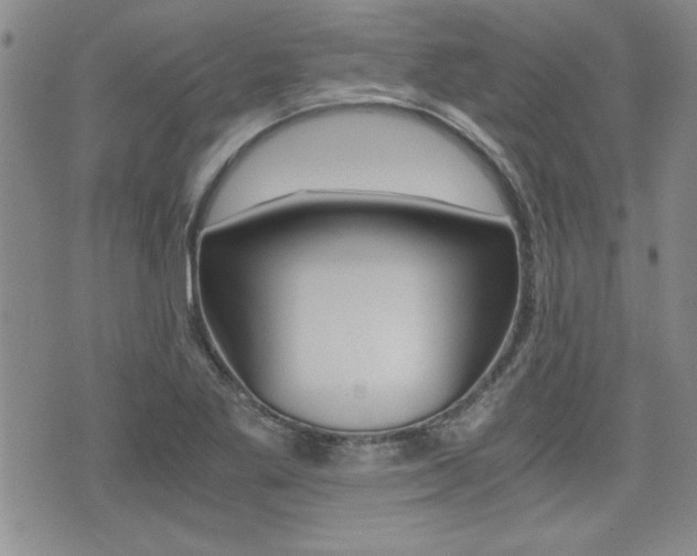 X0000076091269200609220954