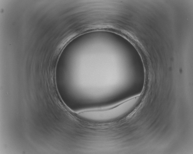 X0000076091273200609220954