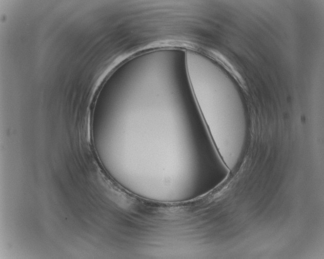 X0000076091276200609220954
