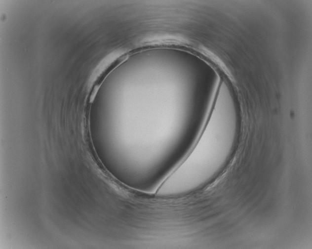 X0000076091277200609220954