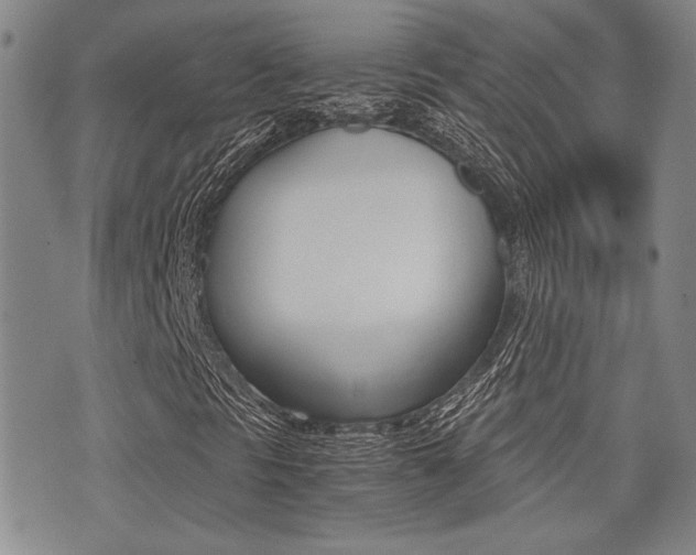 X0000076091297200609220953