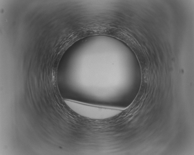 X0000076091298200609220953