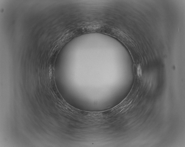 X0000076091299200609220953