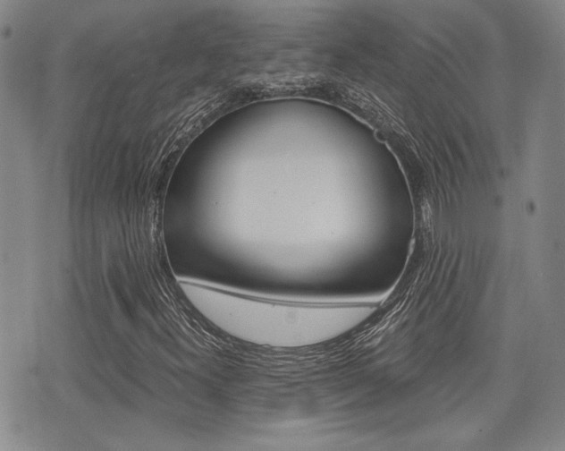 X0000076091300200609220953