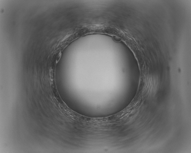 X0000076091301200609220953